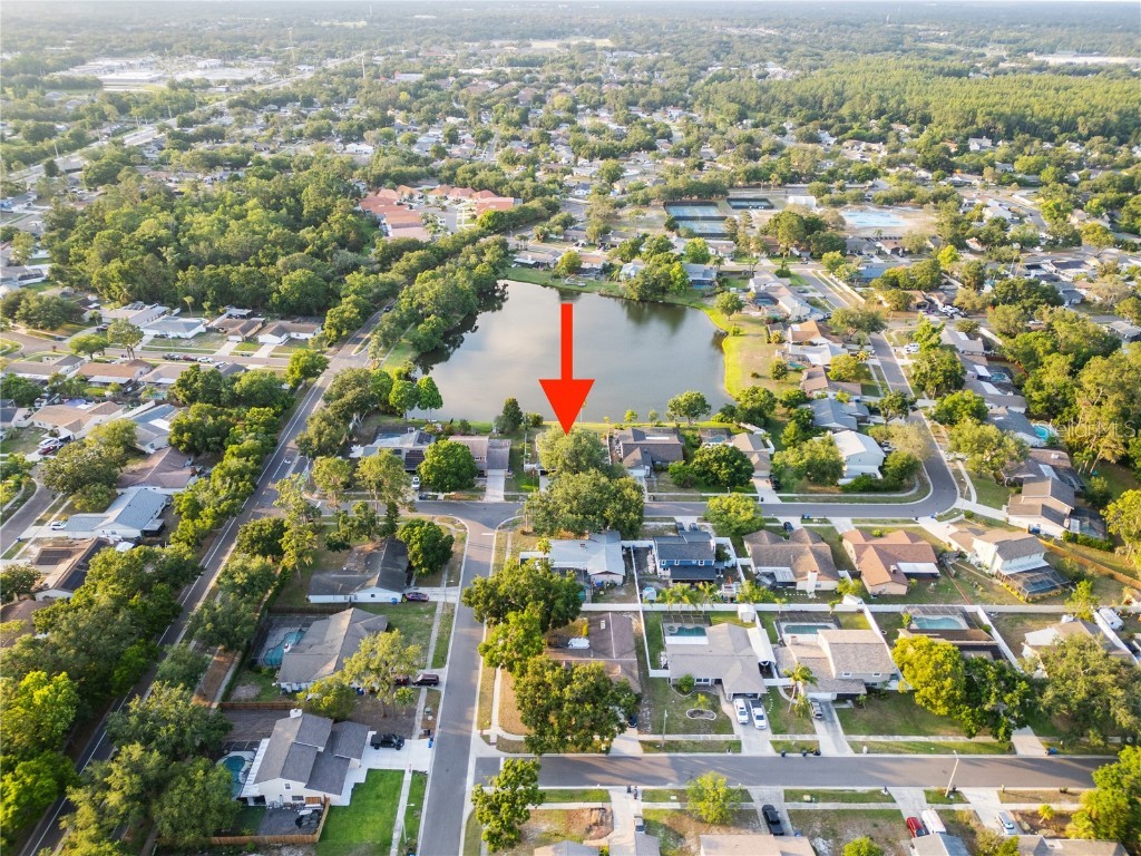 3925 Dunaire Drive Valrico FL 33596 TB8388619 image45