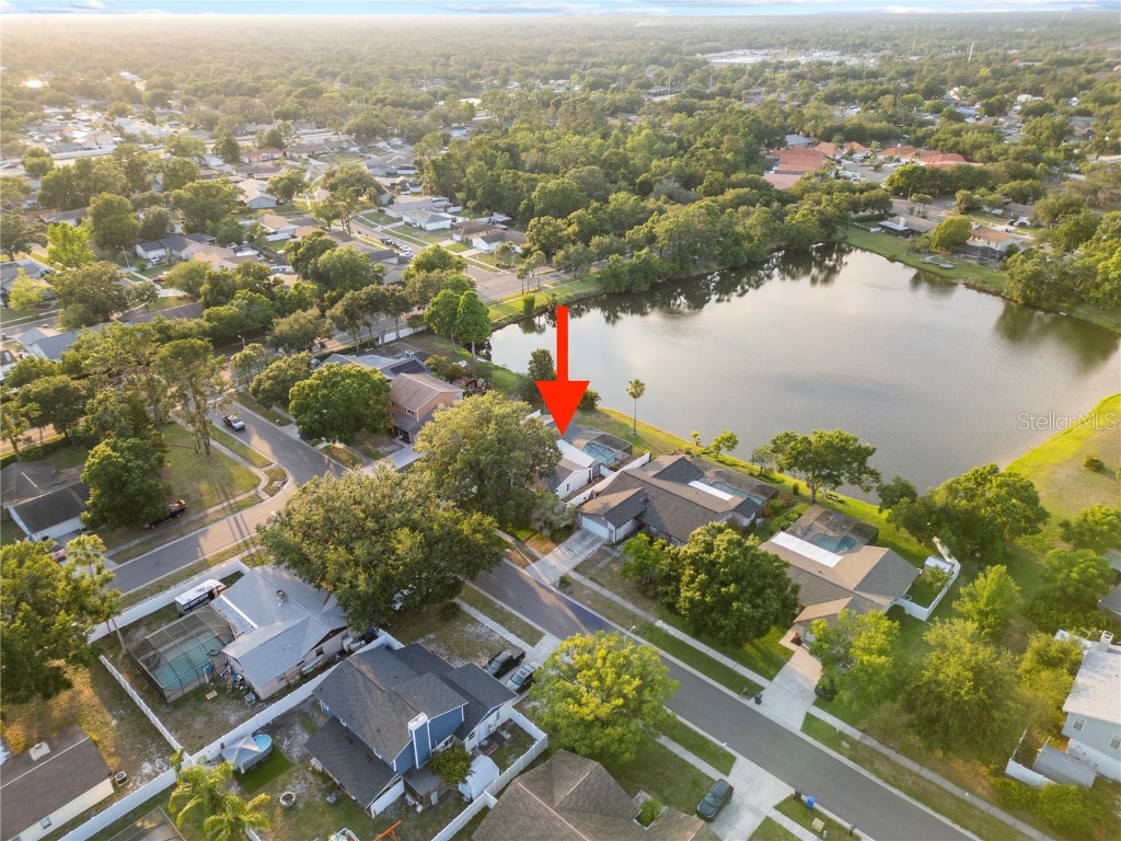 3925 Dunaire Drive Valrico FL 33596 TB8388619 image46