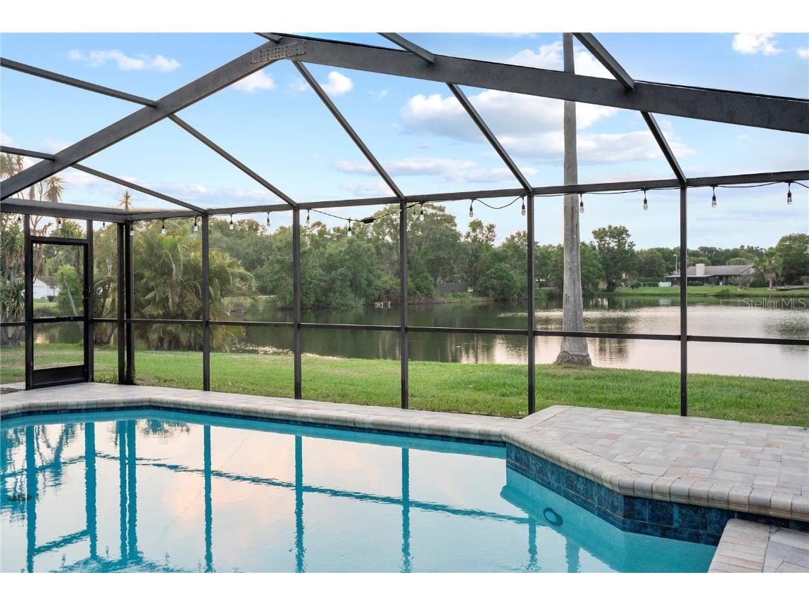 3925 Dunaire Drive Valrico FL 33596 TB8388619 image48