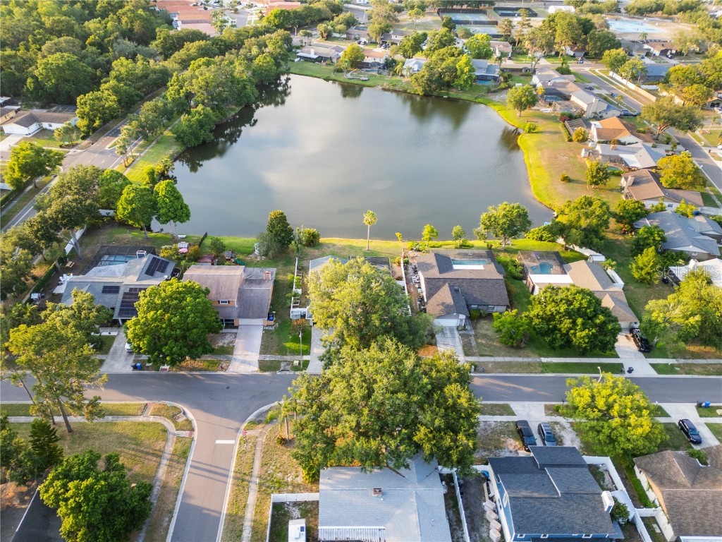 3925 Dunaire Drive Valrico FL 33596 TB8388619 image51