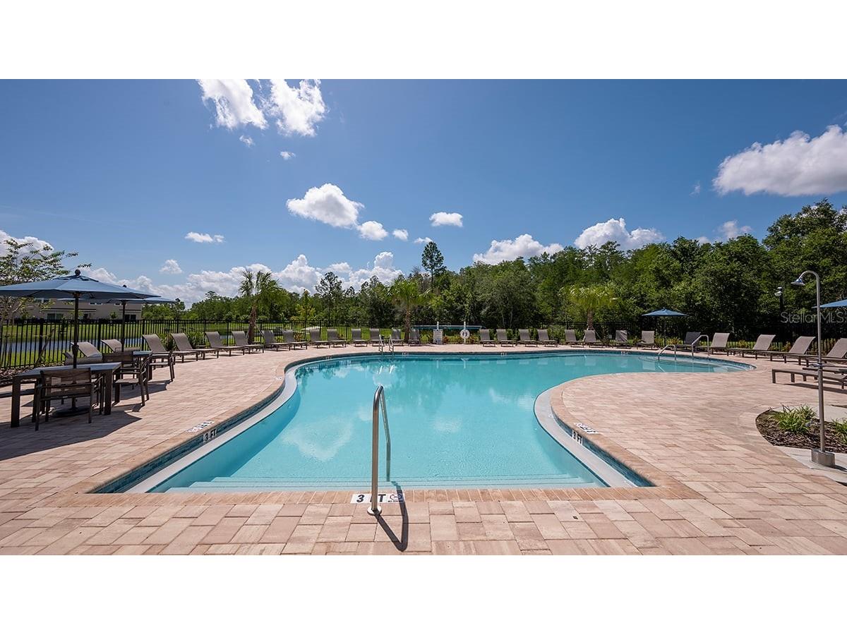3925 Fraccareta Way Wesley Chapel FL 33543 TB8461643 image15