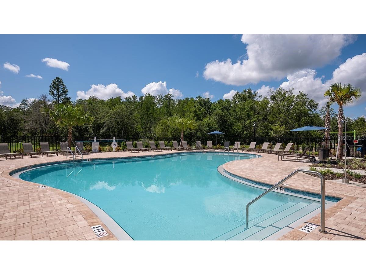 3925 Fraccareta Way Wesley Chapel FL 33543 TB8461643 image16