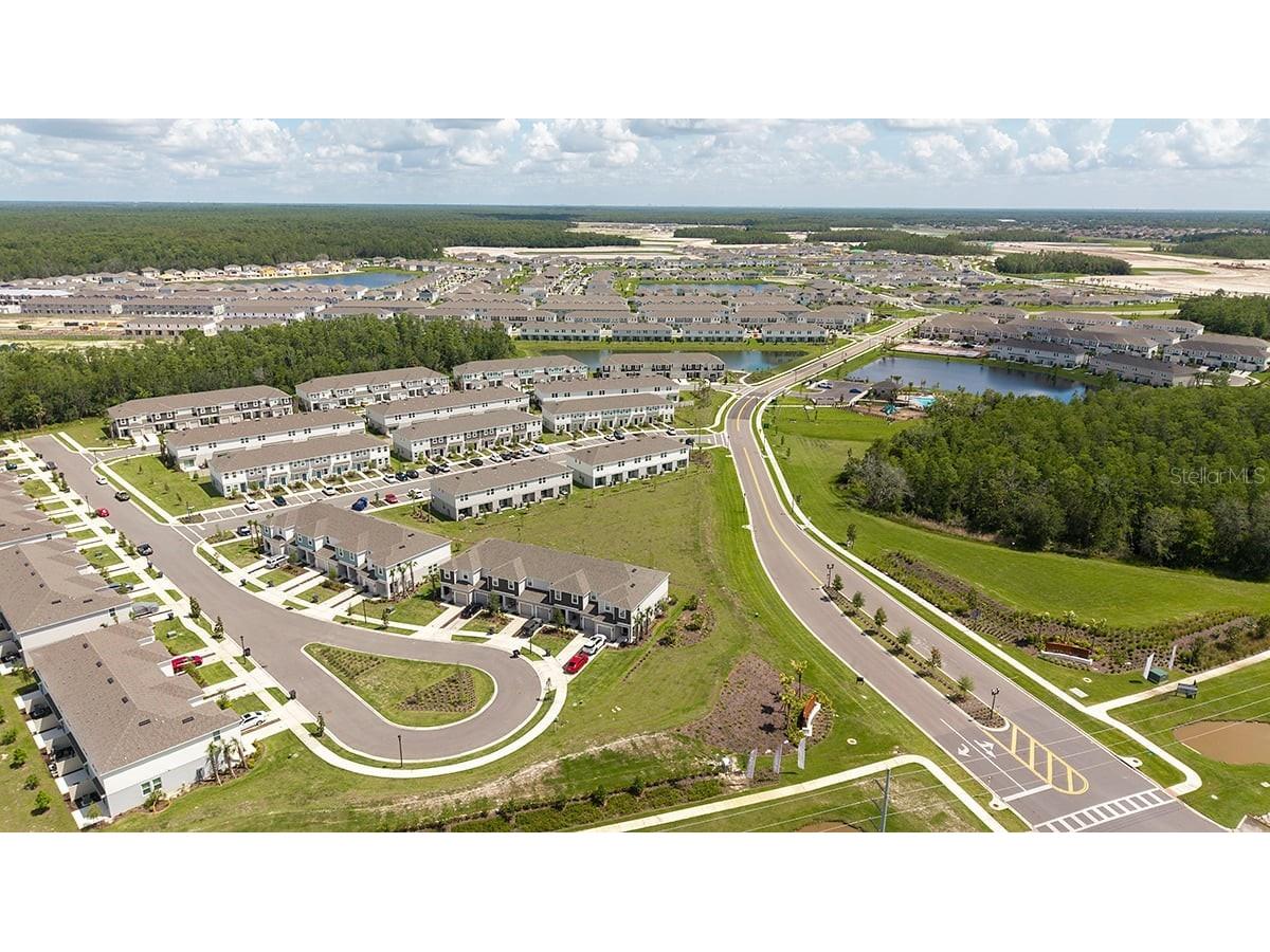 3925 Fraccareta Way Wesley Chapel FL 33543 TB8461643 image30