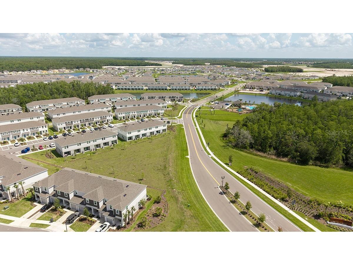 3925 Fraccareta Way Wesley Chapel FL 33543 TB8461643 image31