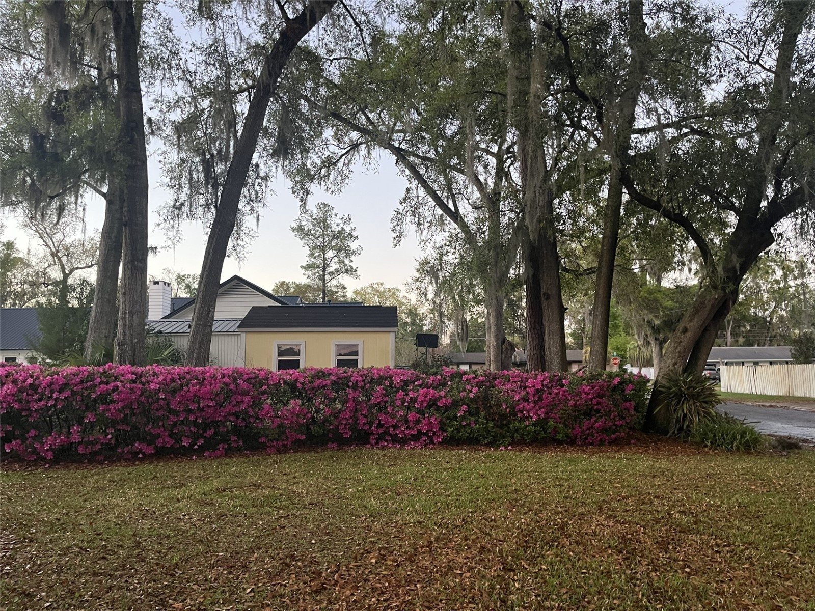 3925 SE 17th Street Ocala FL 34471 OM728421 image2