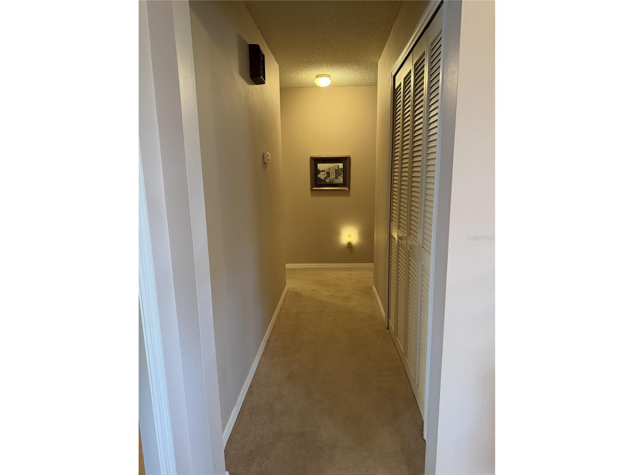 3925 SE 17th Street Ocala FL 34471 OM728421 image23