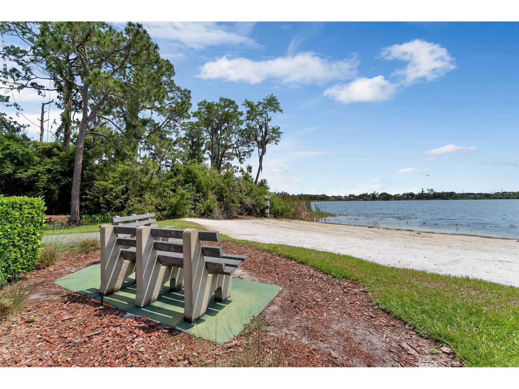 3925 Woodsfield Court Orlando FL 32822 O6394801 image60