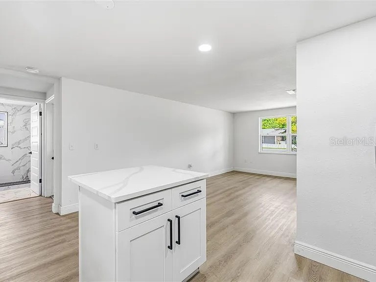 39252 Heights Avenue Zephyrhills FL 33542 TB8502619 image6