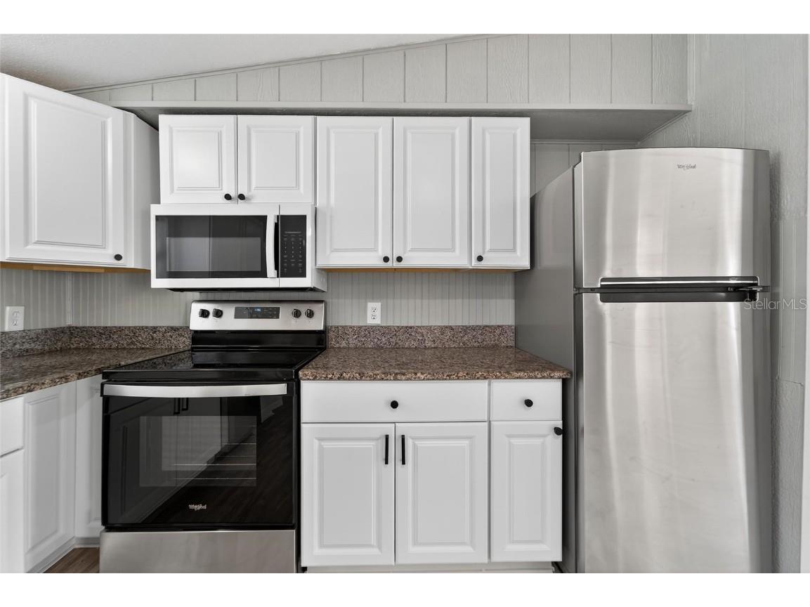 39256 Lizabeth Circle Zephyrhills FL 33542 TB8437570 image21