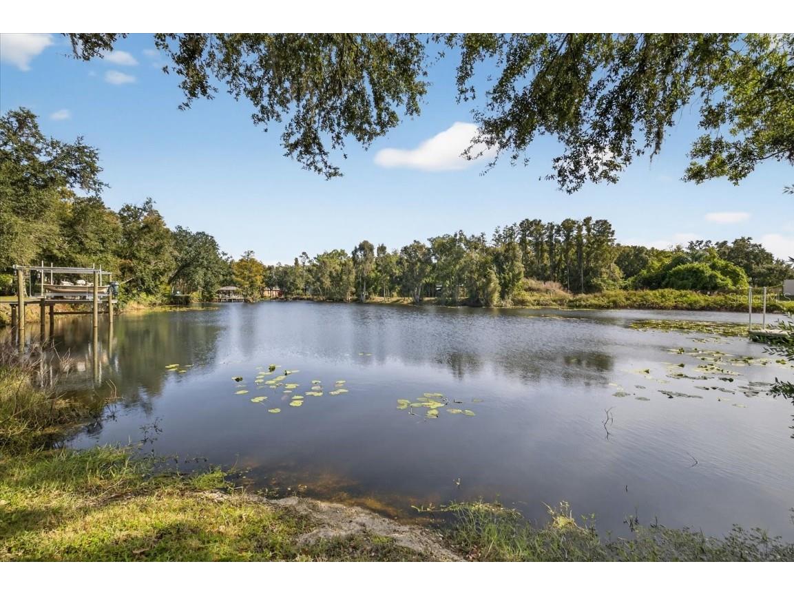 3926 Cove Lake Place Land O Lakes FL 34639 - LAKE PADGETT FEEDEER TB8447561 image1