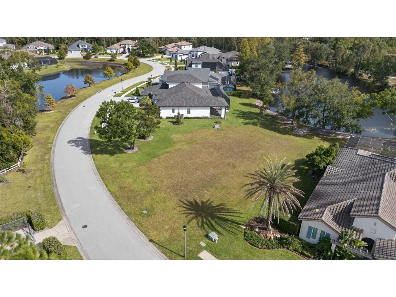 3926 Cove Lake Place Land O Lakes FL 34639 - LAKE PADGETT FEEDEER TB8447561 image11