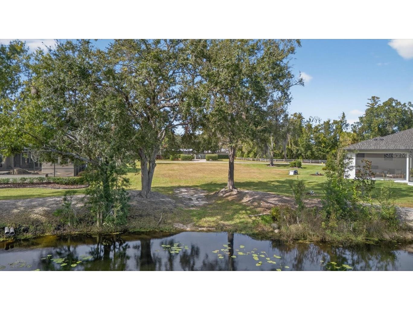 3926 Cove Lake Place Land O Lakes FL 34639 - LAKE PADGETT FEEDEER TB8447561 image12