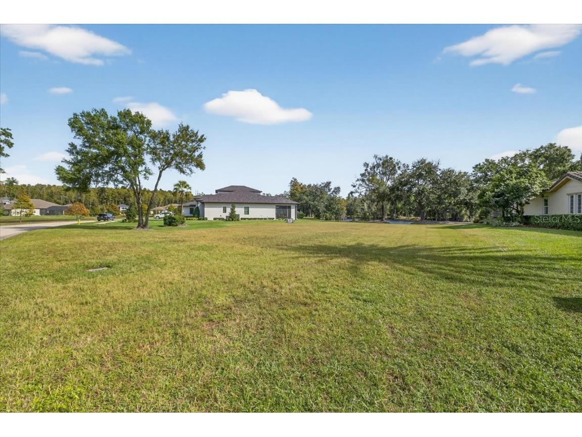 3926 Cove Lake Place Land O Lakes FL 34639 - LAKE PADGETT FEEDEER TB8447561 image13