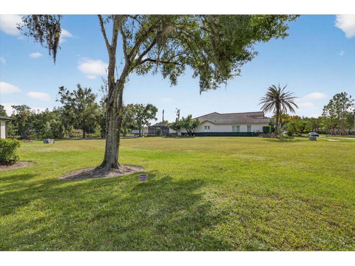 3926 Cove Lake Place Land O Lakes FL 34639 - LAKE PADGETT FEEDEER TB8447561 image14