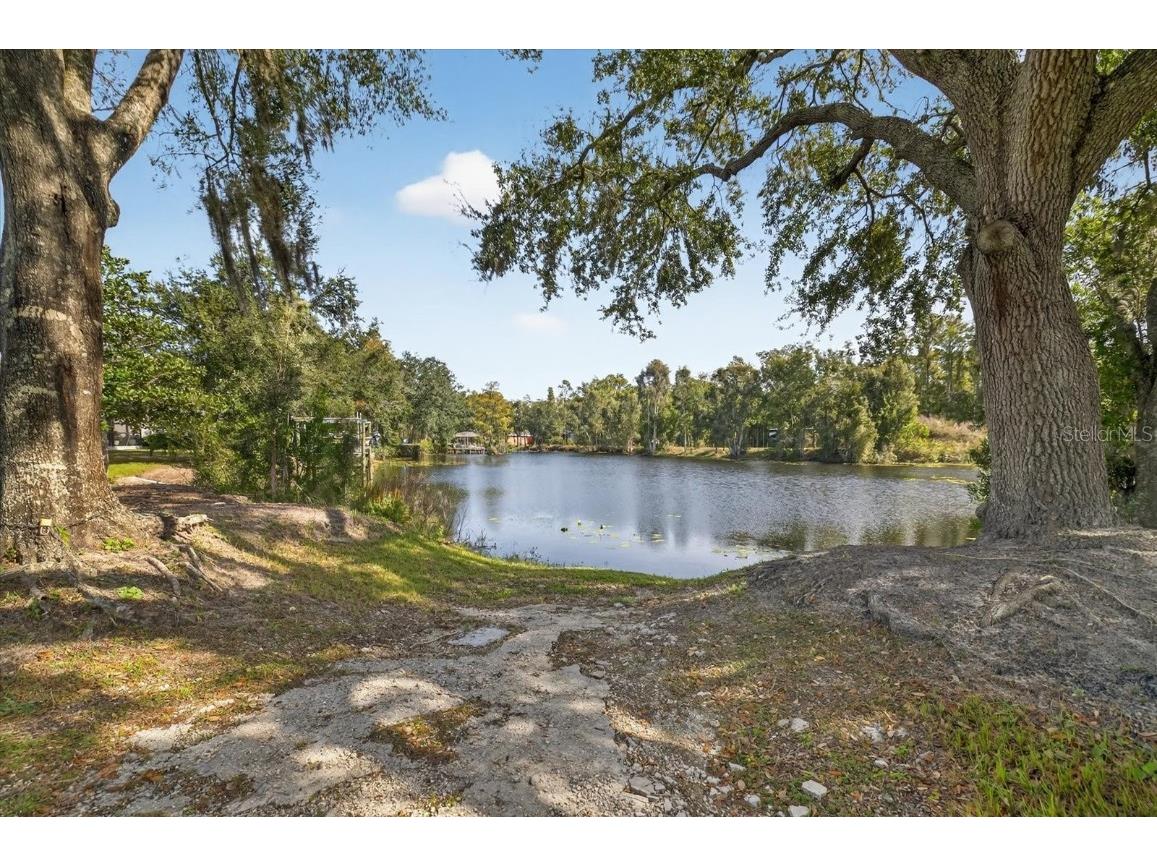 3926 Cove Lake Place Land O Lakes FL 34639 - LAKE PADGETT FEEDEER TB8447561 image15