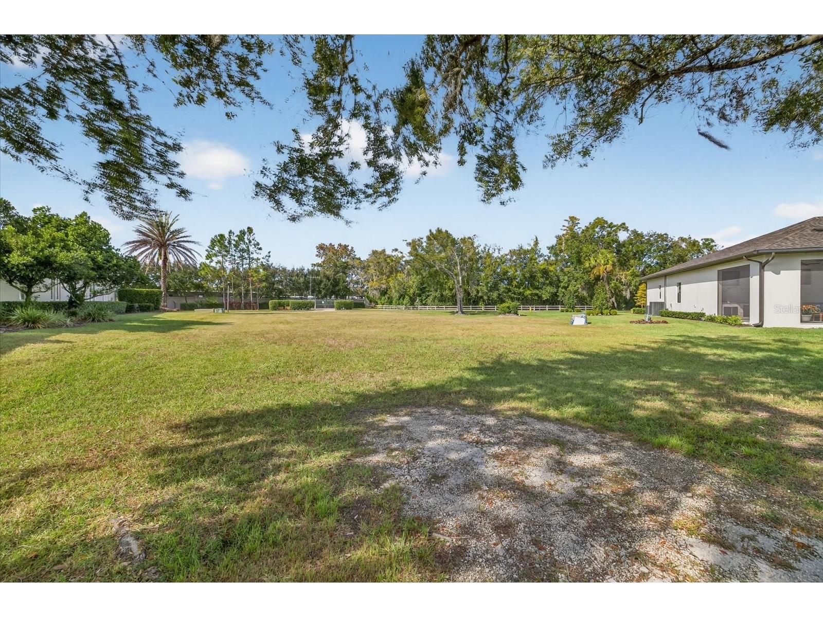 3926 Cove Lake Place Land O Lakes FL 34639 - LAKE PADGETT FEEDEER TB8447561 image17