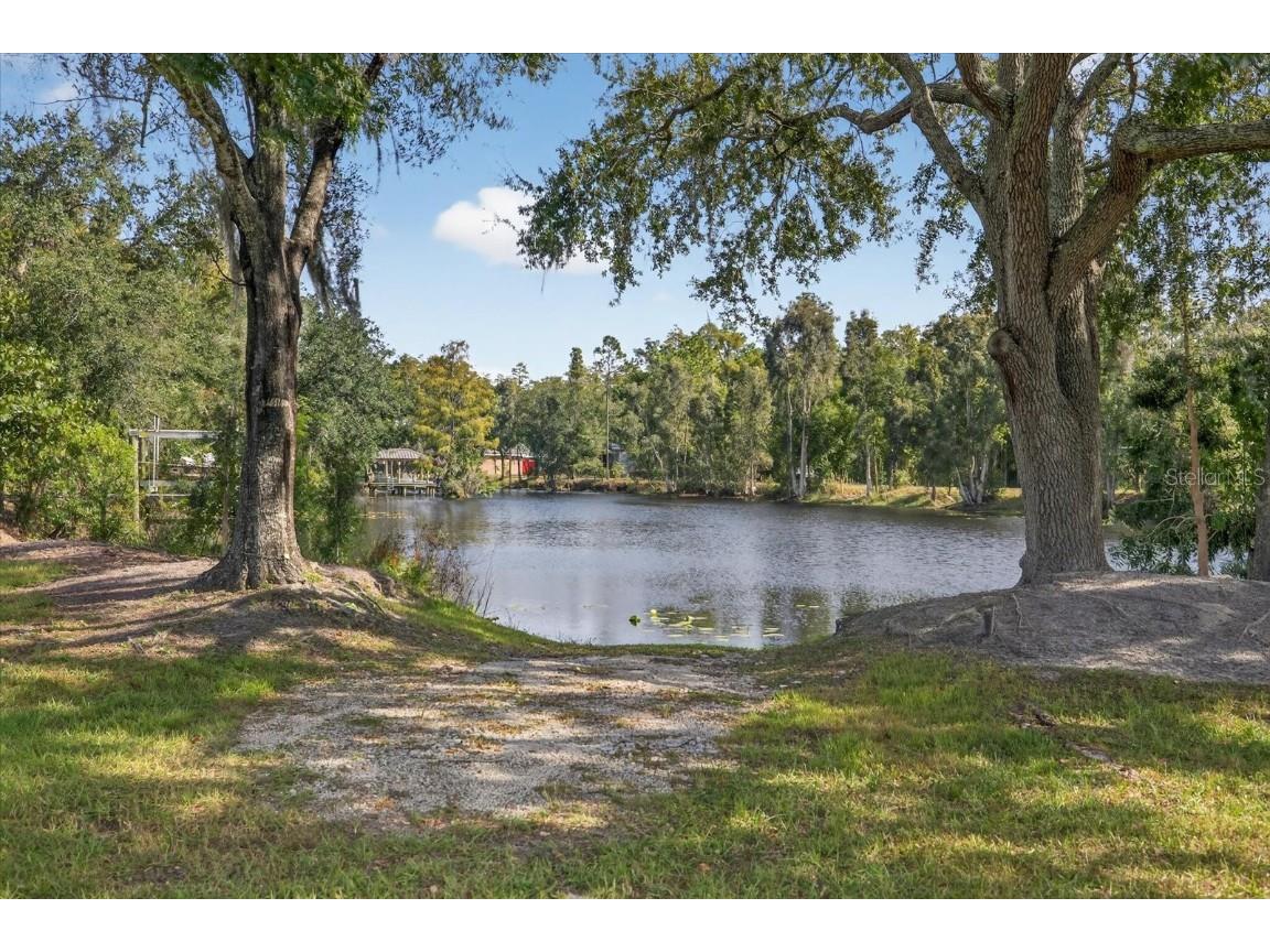 3926 Cove Lake Place Land O Lakes FL 34639 - LAKE PADGETT FEEDEER TB8447561 image2