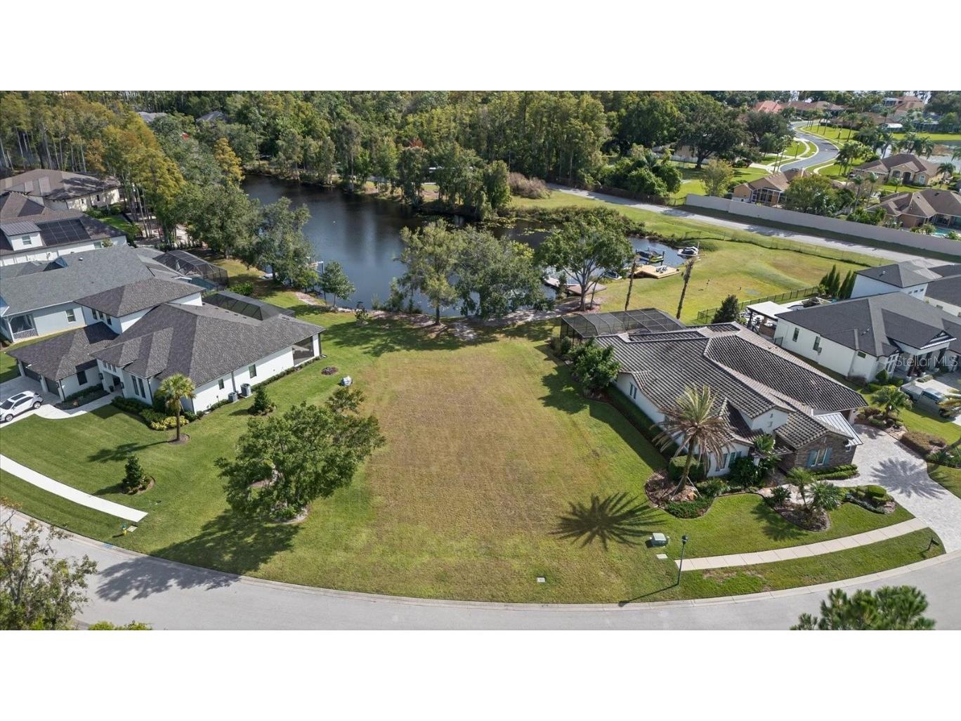 3926 Cove Lake Place Land O Lakes FL 34639 - LAKE PADGETT FEEDEER TB8447561 image4
