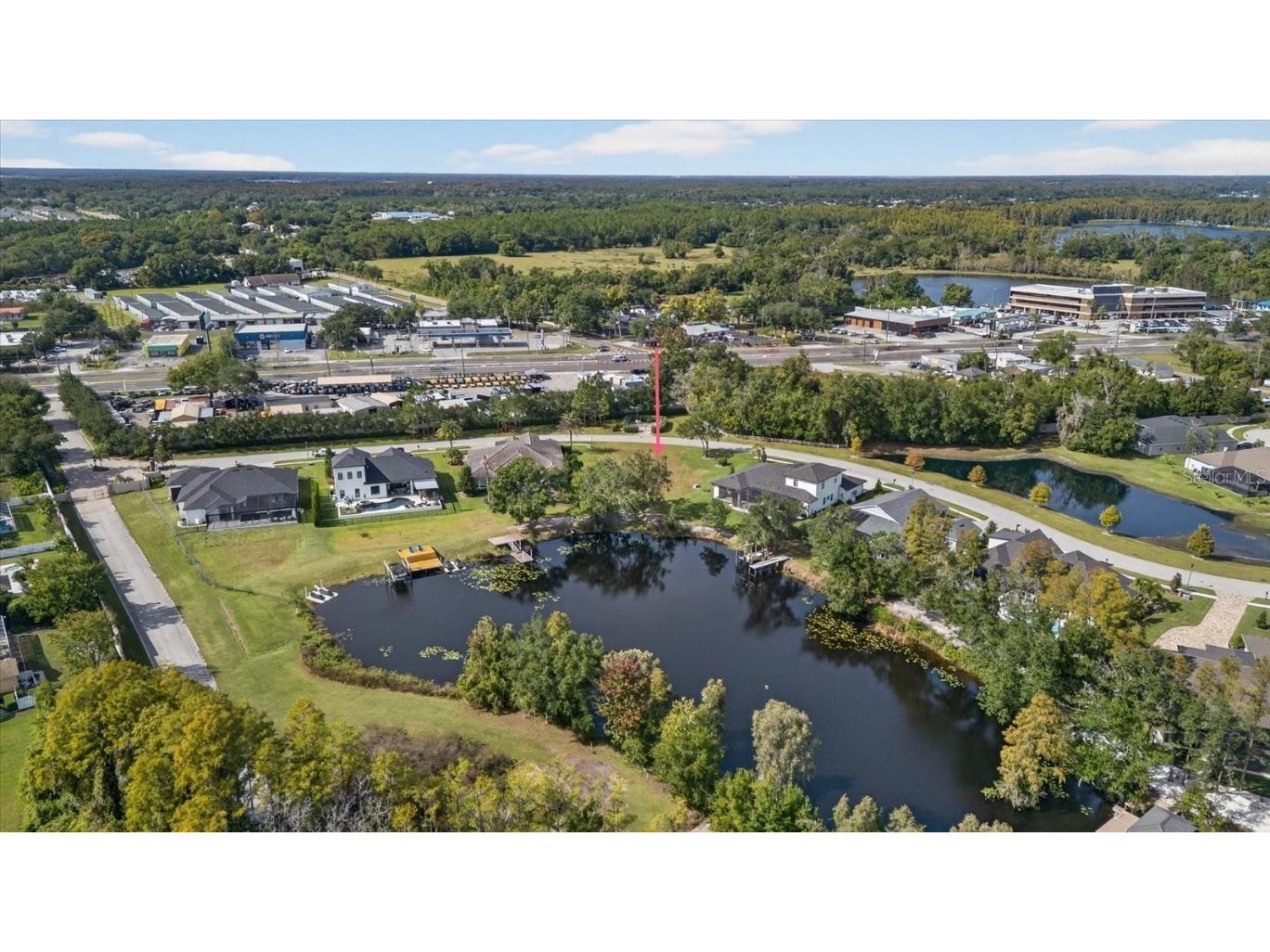 3926 Cove Lake Place Land O Lakes FL 34639 - LAKE PADGETT FEEDEER TB8447561 image7