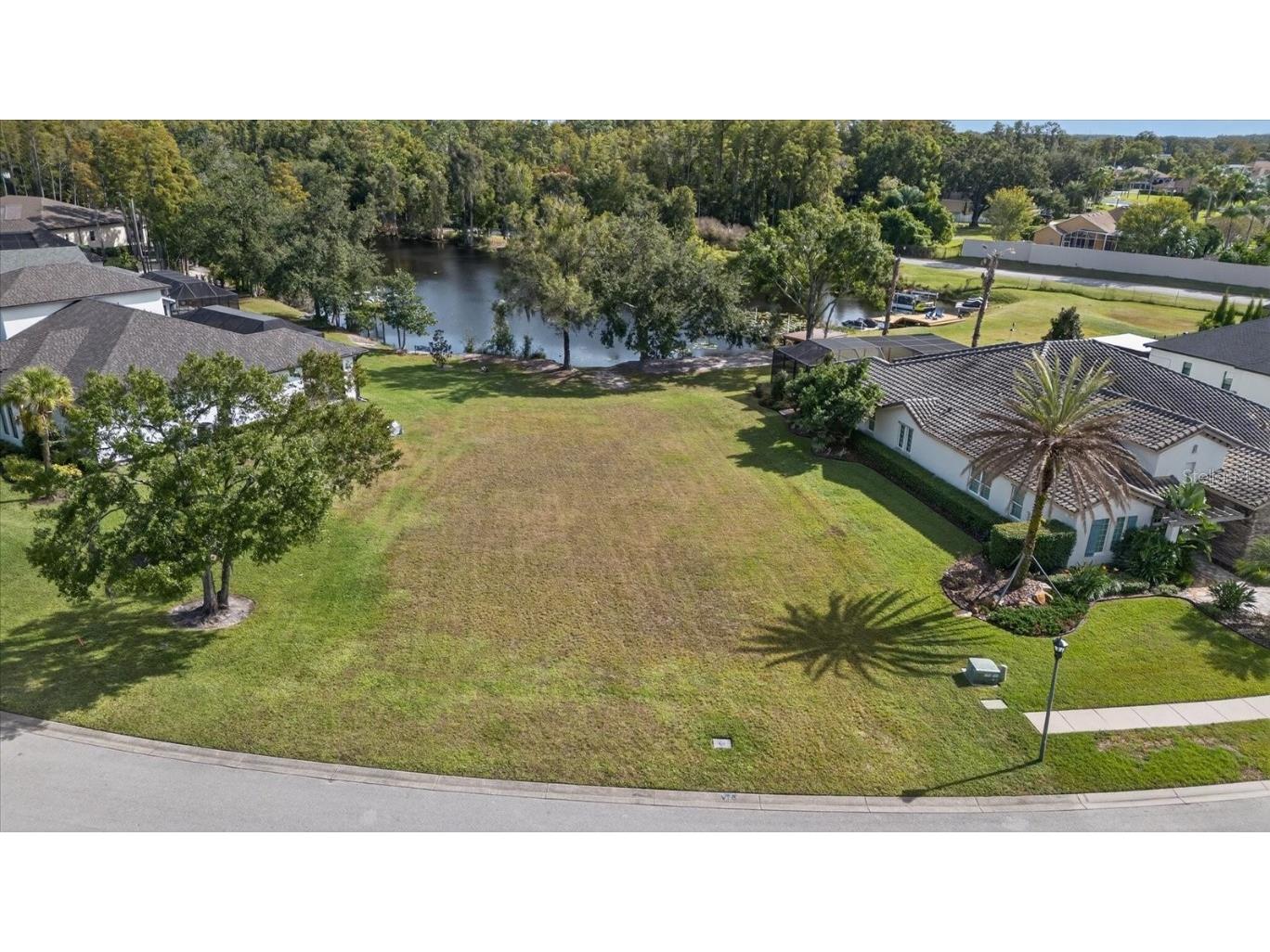 3926 Cove Lake Place Land O Lakes FL 34639 - LAKE PADGETT FEEDEER TB8447561 image9