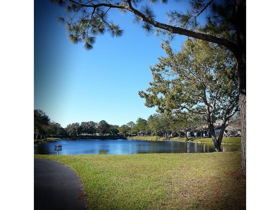 3926 La Costa Lane Largo FL 33771 TB8494952 image31