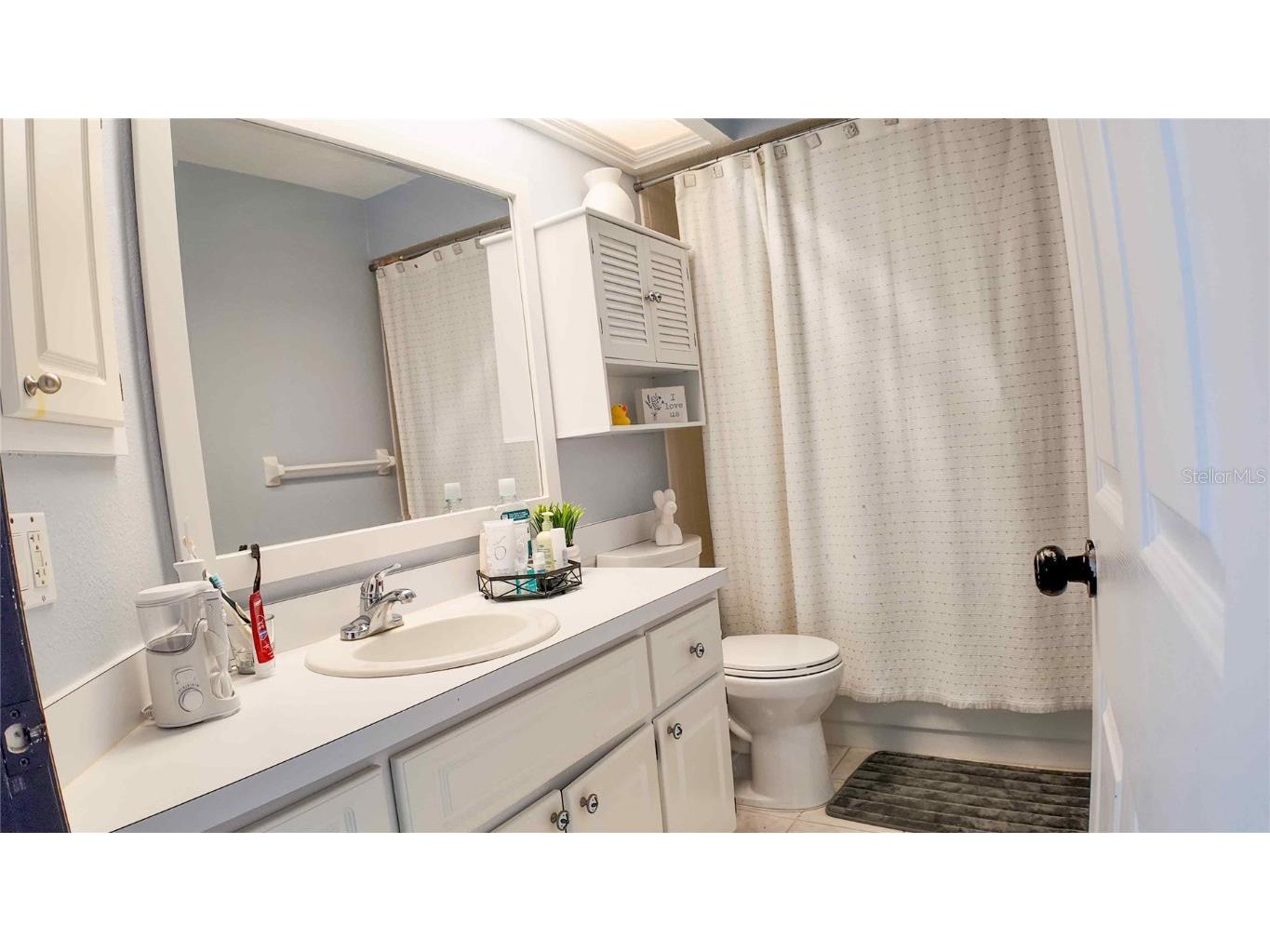 3926 Northridge Drive Valrico FL 33596 TB8417659 image34