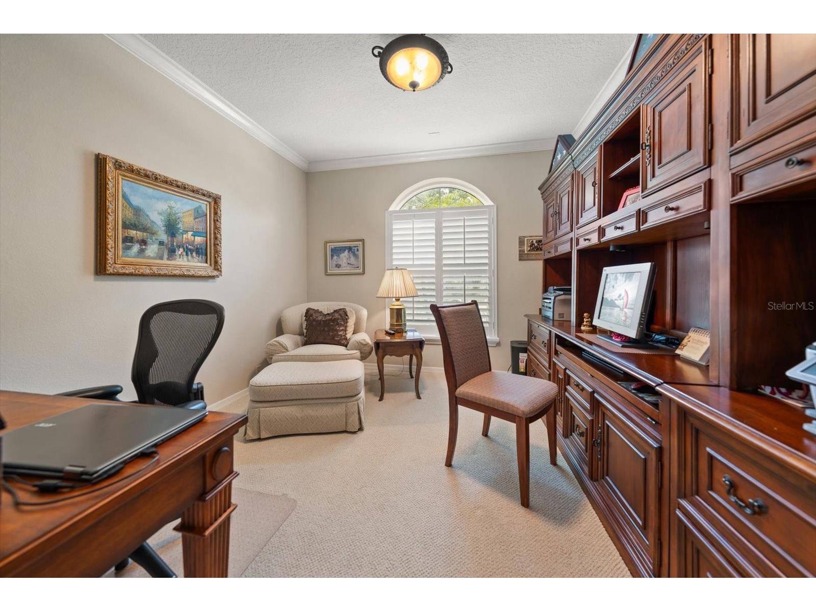 3926 Saywood Court Palm Harbor FL 34685 TB8514156 image22