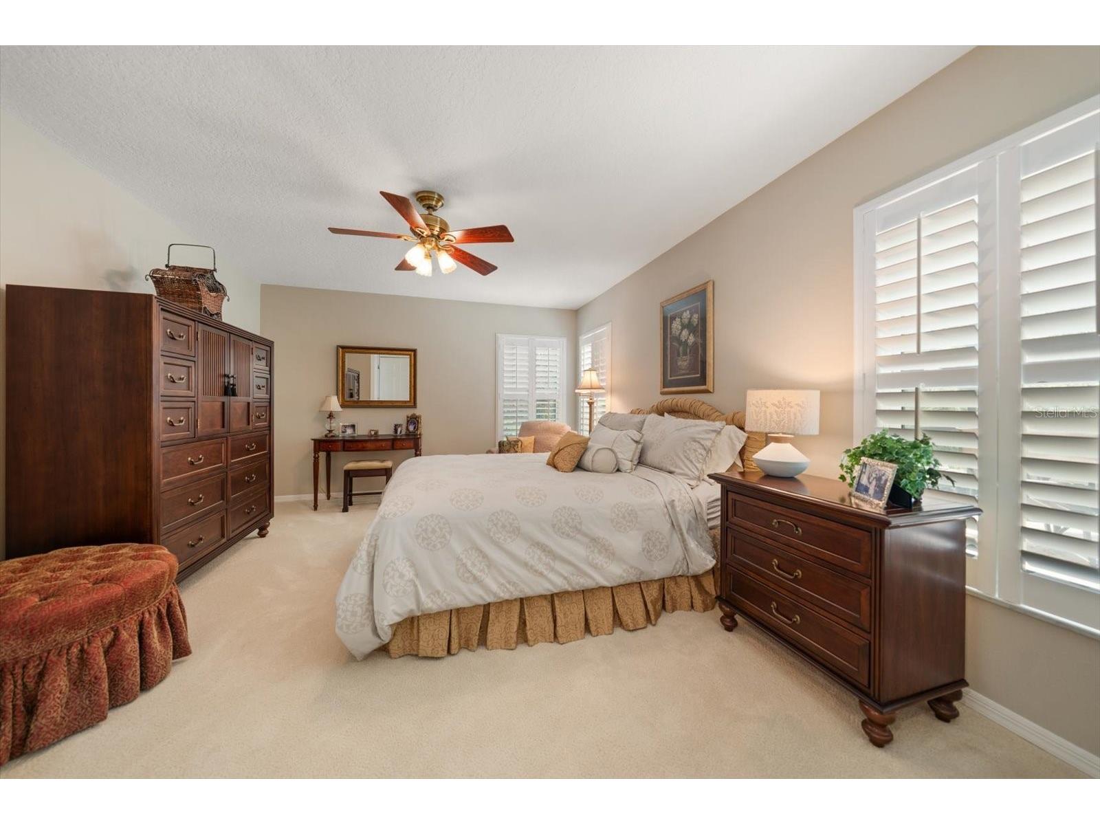 3926 Saywood Court Palm Harbor FL 34685 TB8514156 image28