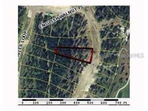 3926 Southern Valley Loop Brooksville FL 34601 T3424459 image1