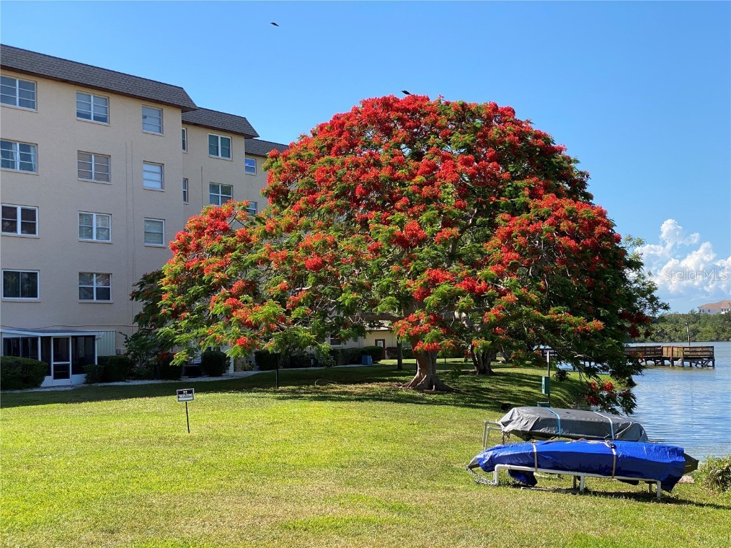 3927 Lake Bayshore Drive #F312 Bradenton FL 34205 A4669571 image44