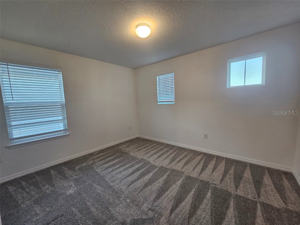 3928 Capri Coast Drive Plant City FL 33565 O6366127 image20