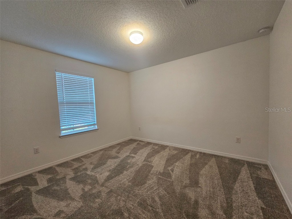 3928 Capri Coast Drive Plant City FL 33565 O6366127 image21