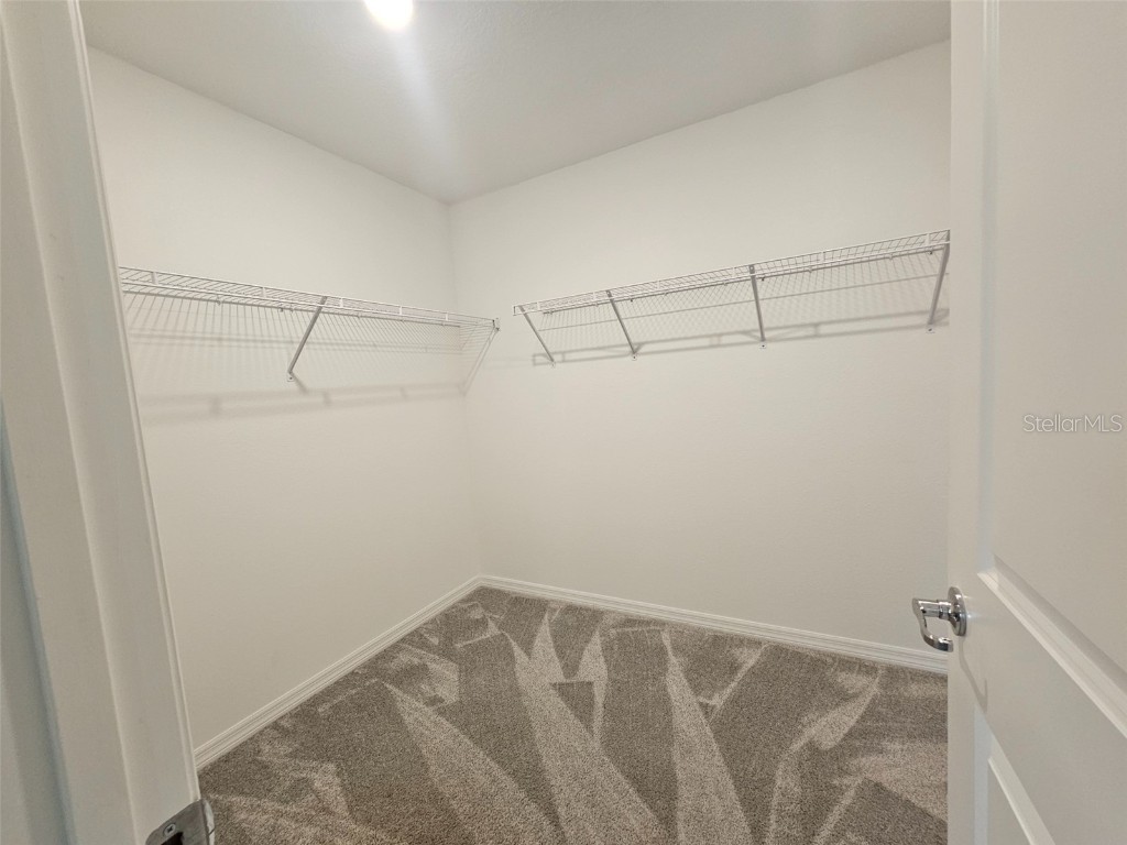 3928 Capri Coast Drive Plant City FL 33565 O6366127 image36