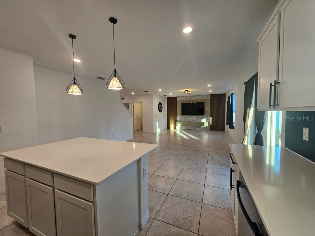 3928 Capri Coast Drive Plant City FL 33565 O6366127 image6