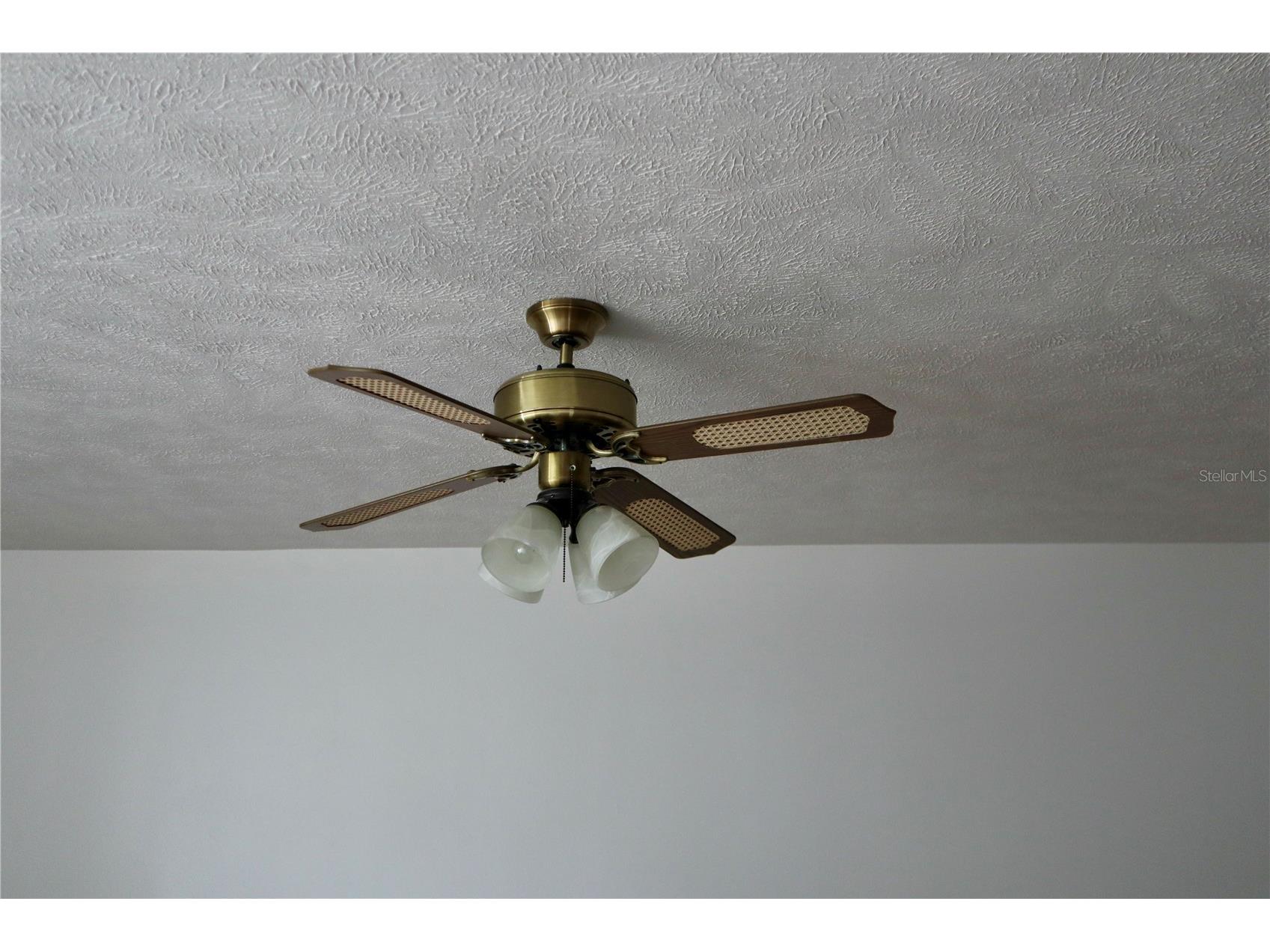3929 NE 21st Lane Ocala FL 34470 OM723242 image16