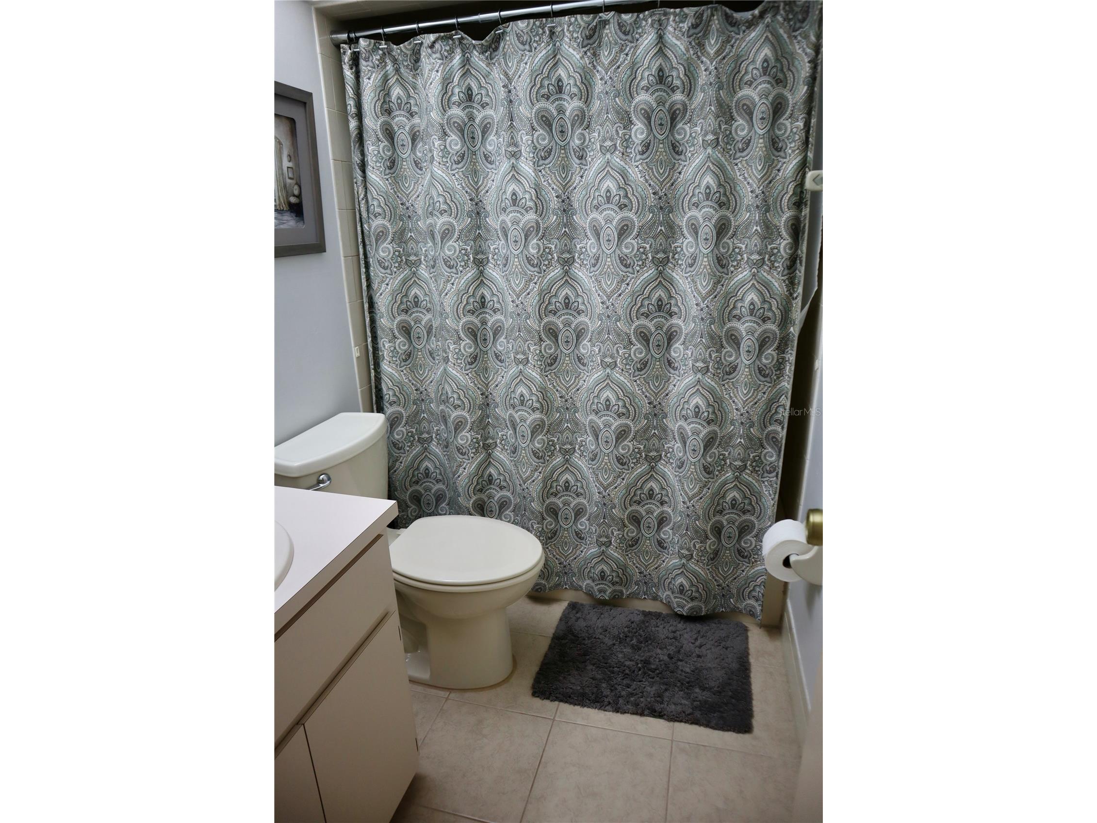 3929 NE 21st Lane Ocala FL 34470 OM723242 image56