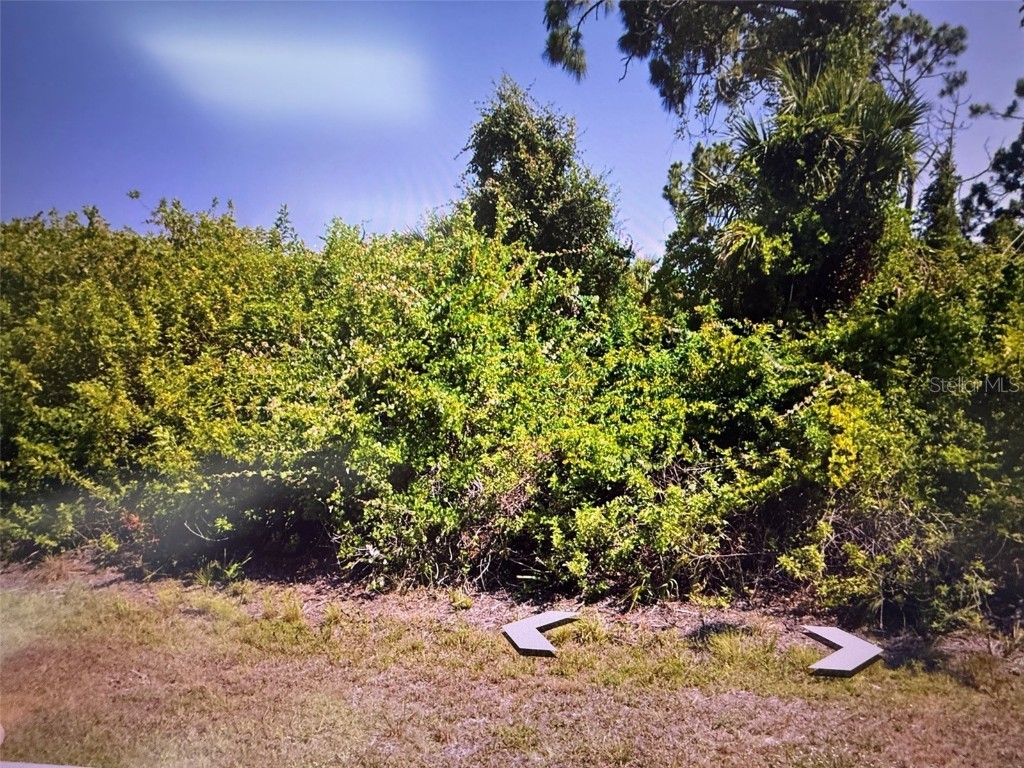 393 Albatross Road Rotonda West FL 33947 O6302162 image1