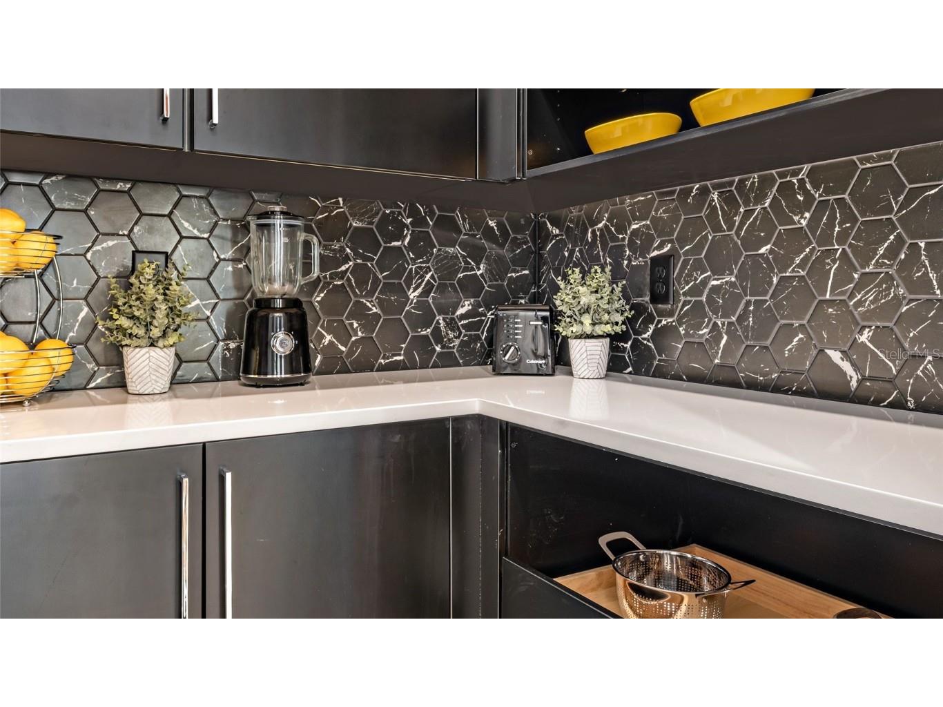 393 Douglas Hill Drive Lady Lake FL 32159 W7879826 image4