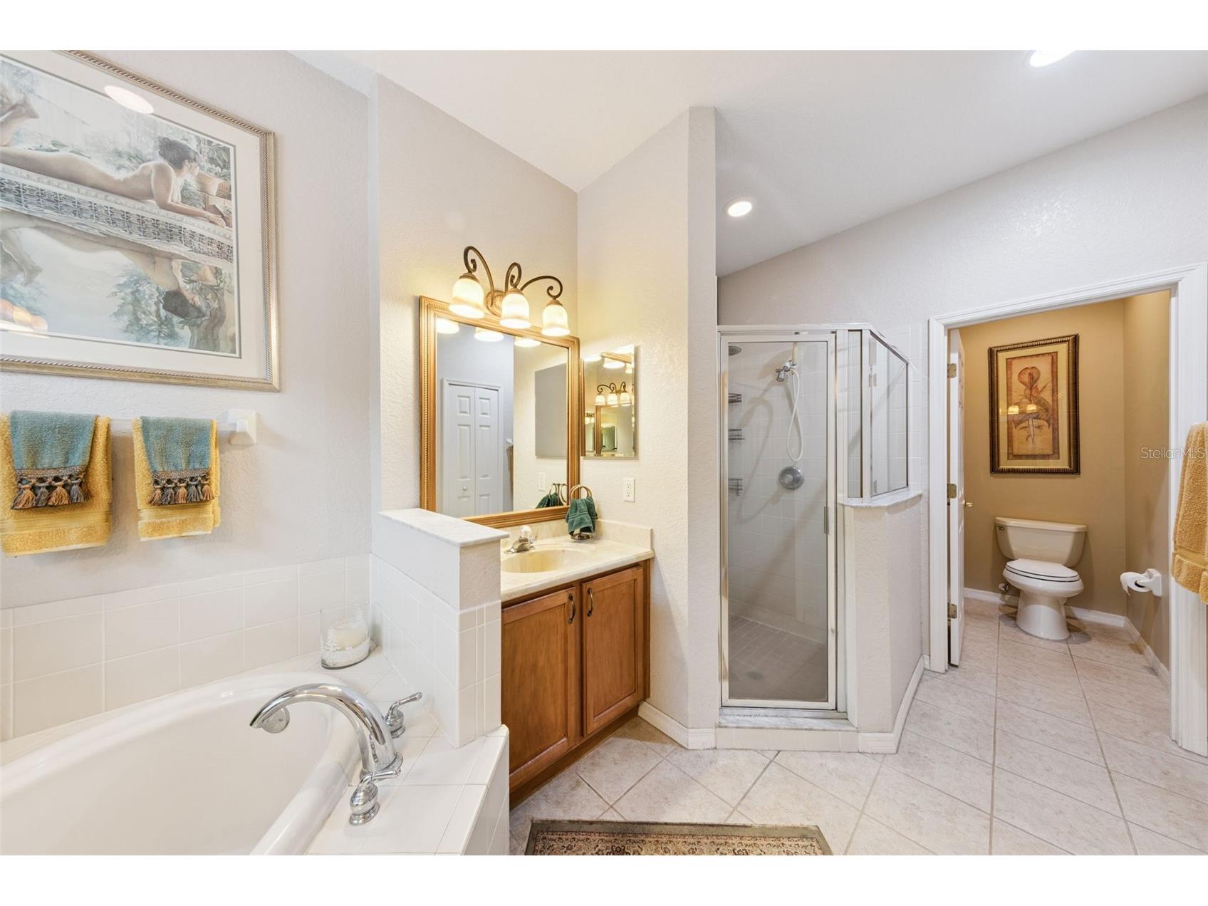 393 Lake Amberleigh Drive Winter Garden FL 34787 O6374079 image20