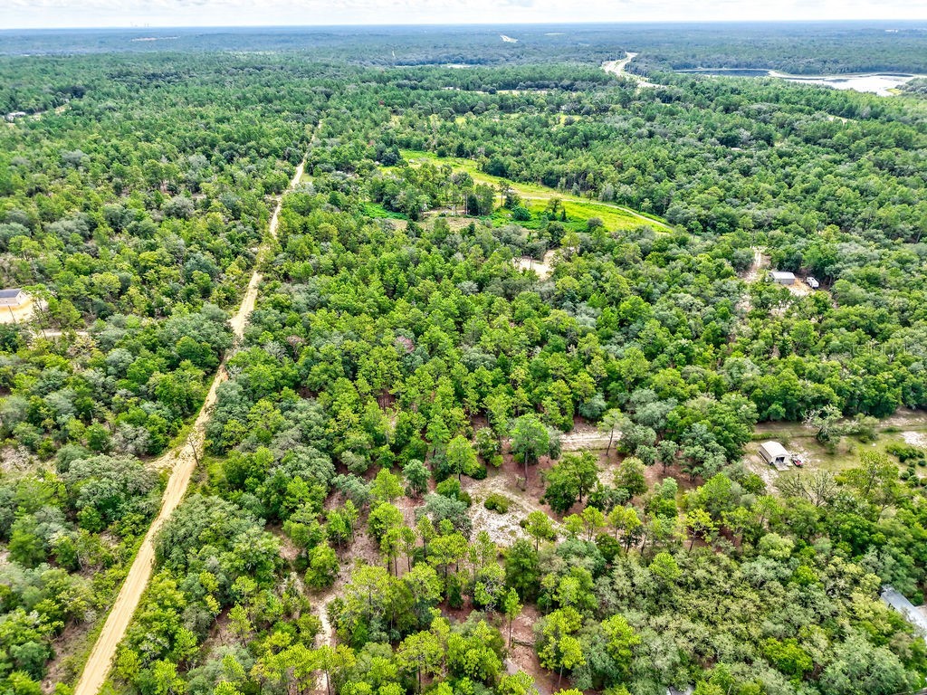 393 S Carolina Street Hawthorne FL 32640 TB8417233 image10