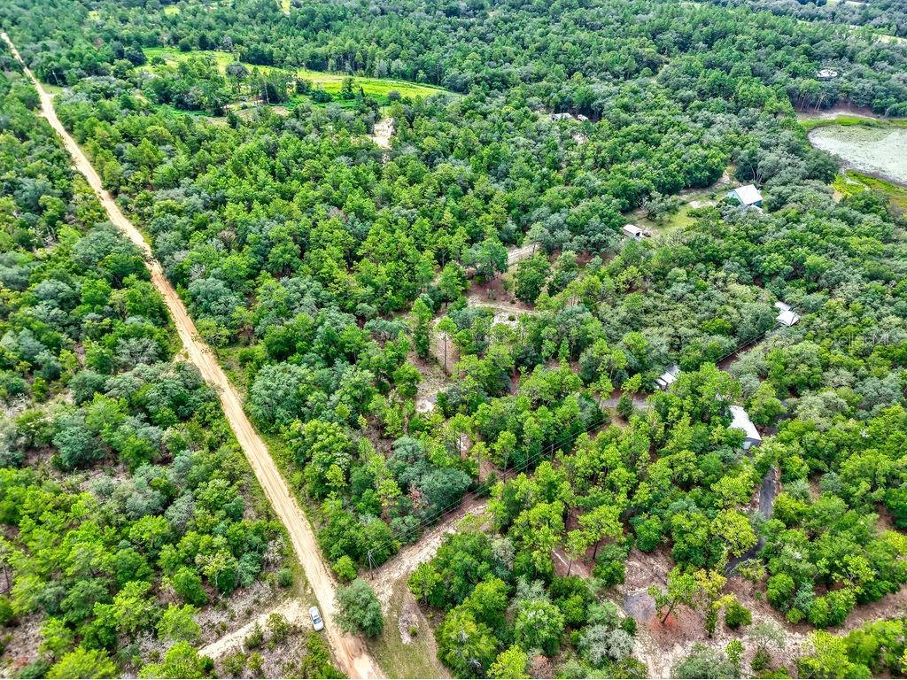 393 S Carolina Street Hawthorne FL 32640 TB8417233 image11