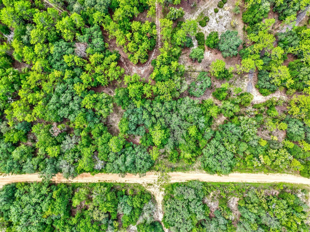 393 S Carolina Street Hawthorne FL 32640 TB8417233 image13