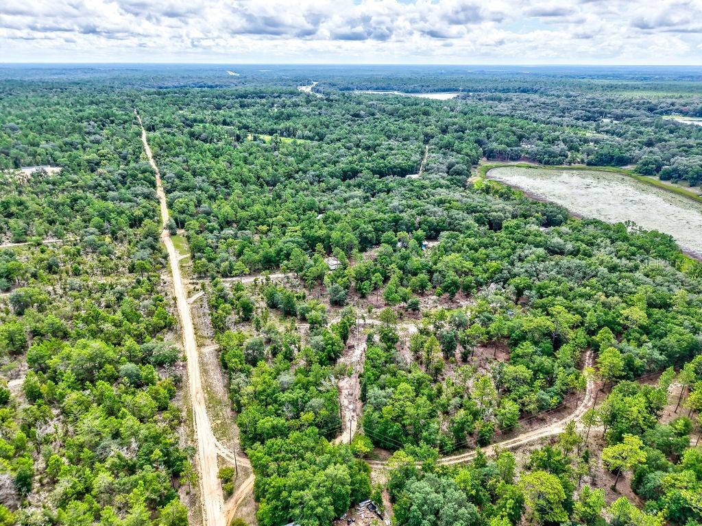 393 S Carolina Street Hawthorne FL 32640 TB8417233 image14