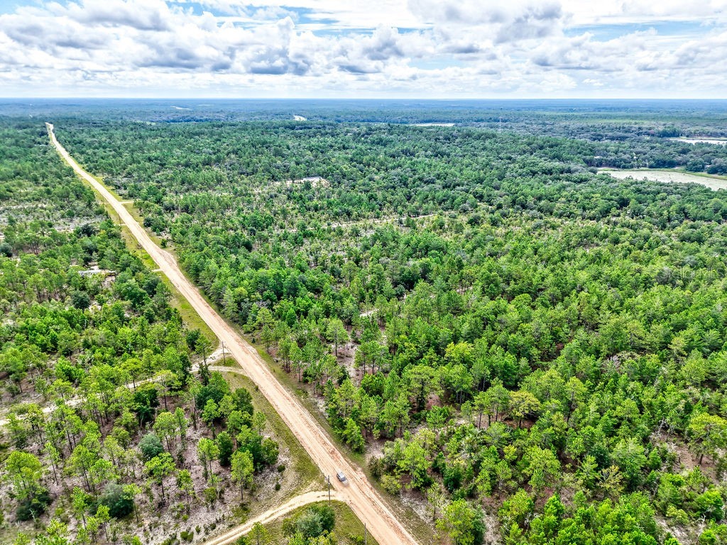 393 S Carolina Street Hawthorne FL 32640 TB8417233 image15