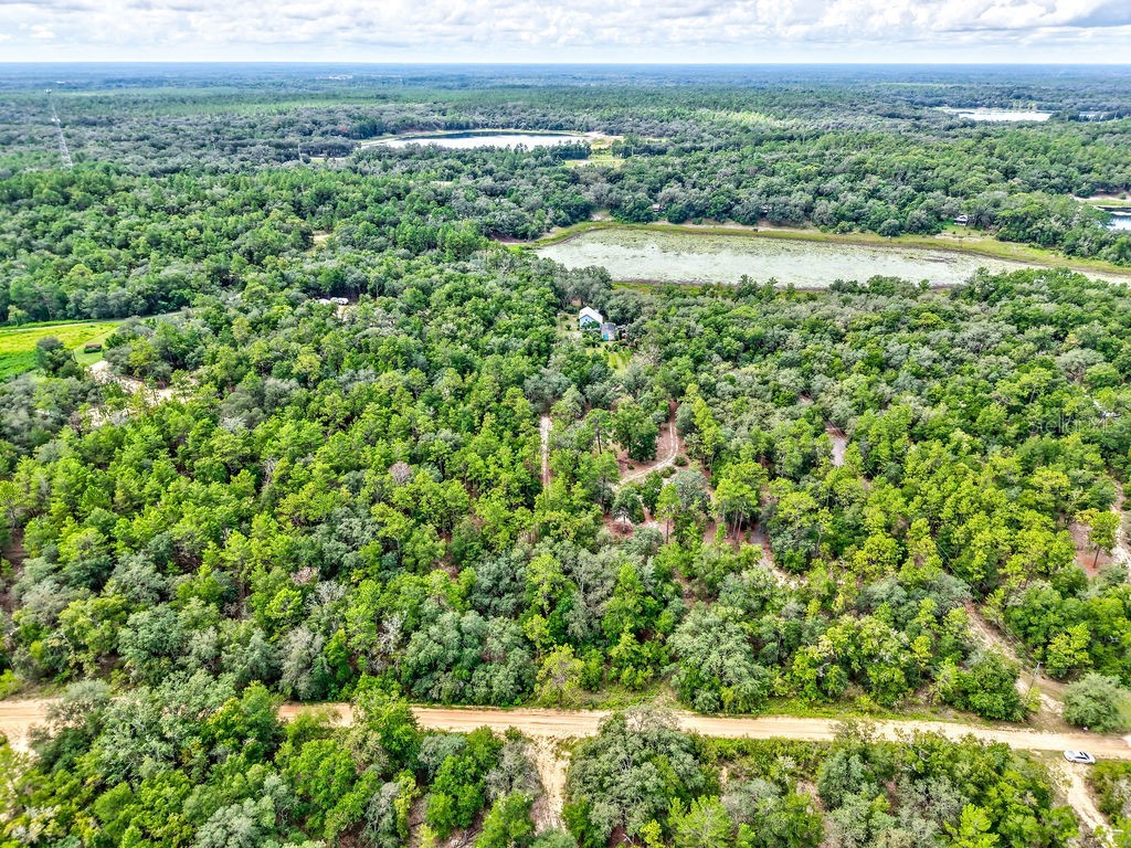 393 S Carolina Street Hawthorne FL 32640 TB8417233 image17