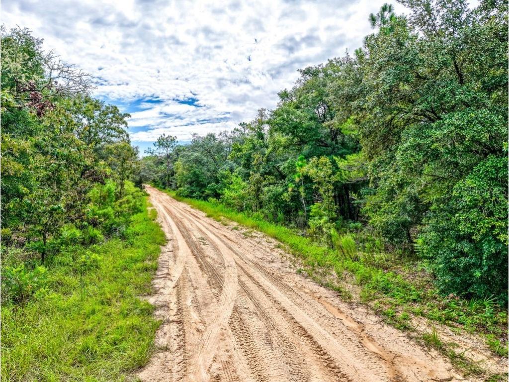 393 S Carolina Street Hawthorne FL 32640 TB8417233 image4