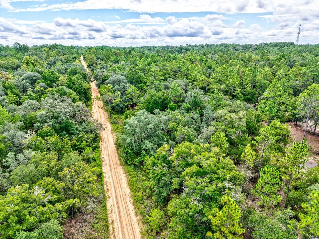 393 S Carolina Street Hawthorne FL 32640 TB8417233 image5