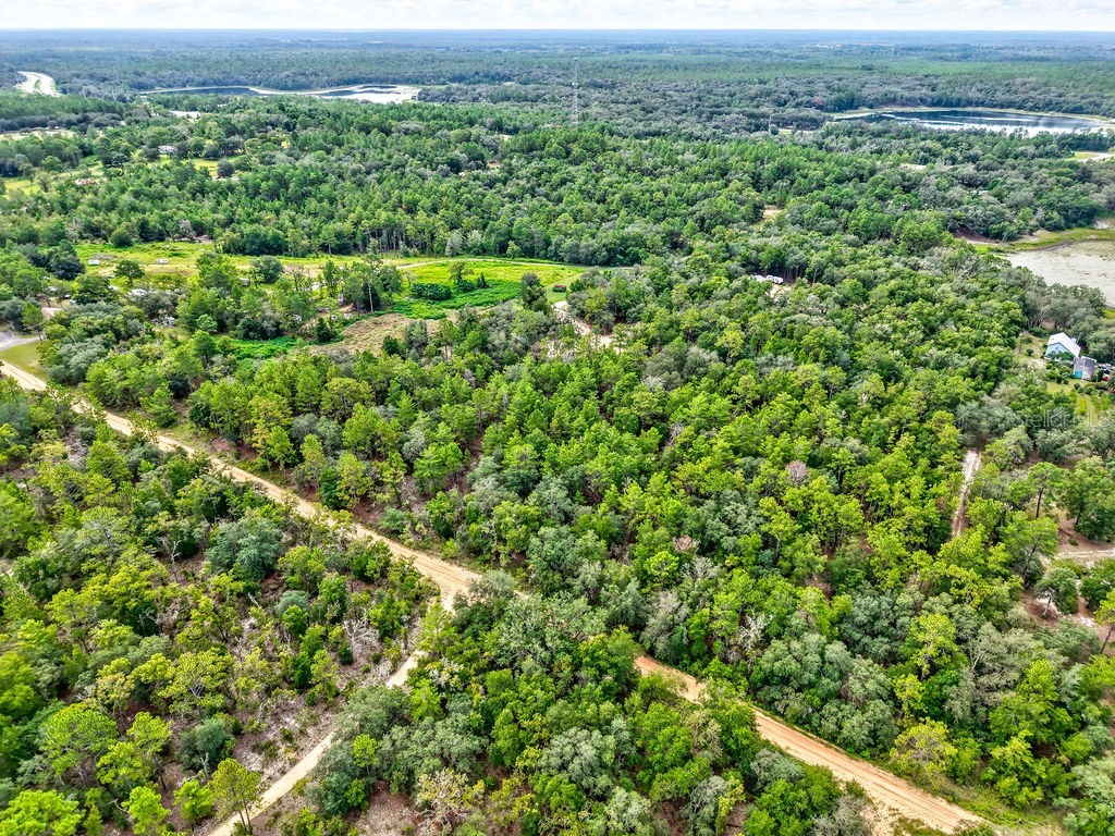 393 S Carolina Street Hawthorne FL 32640 TB8417233 image7