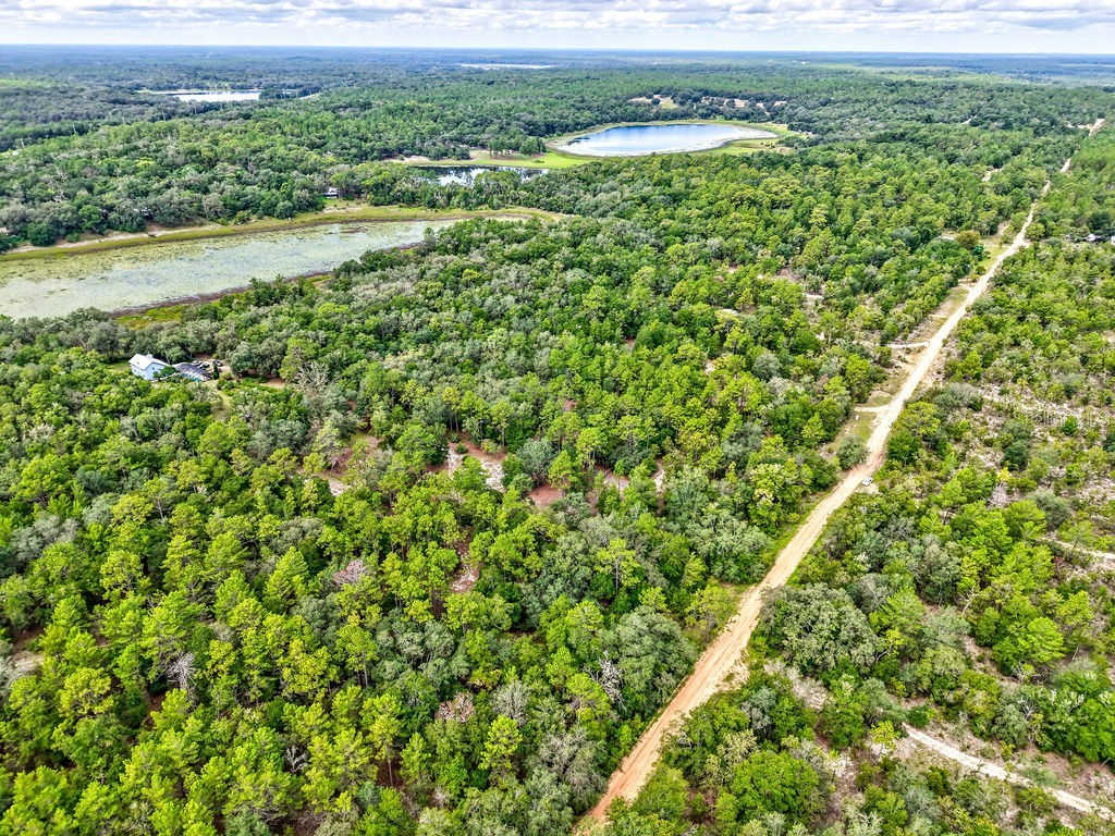 393 S Carolina Street Hawthorne FL 32640 TB8417233 image8