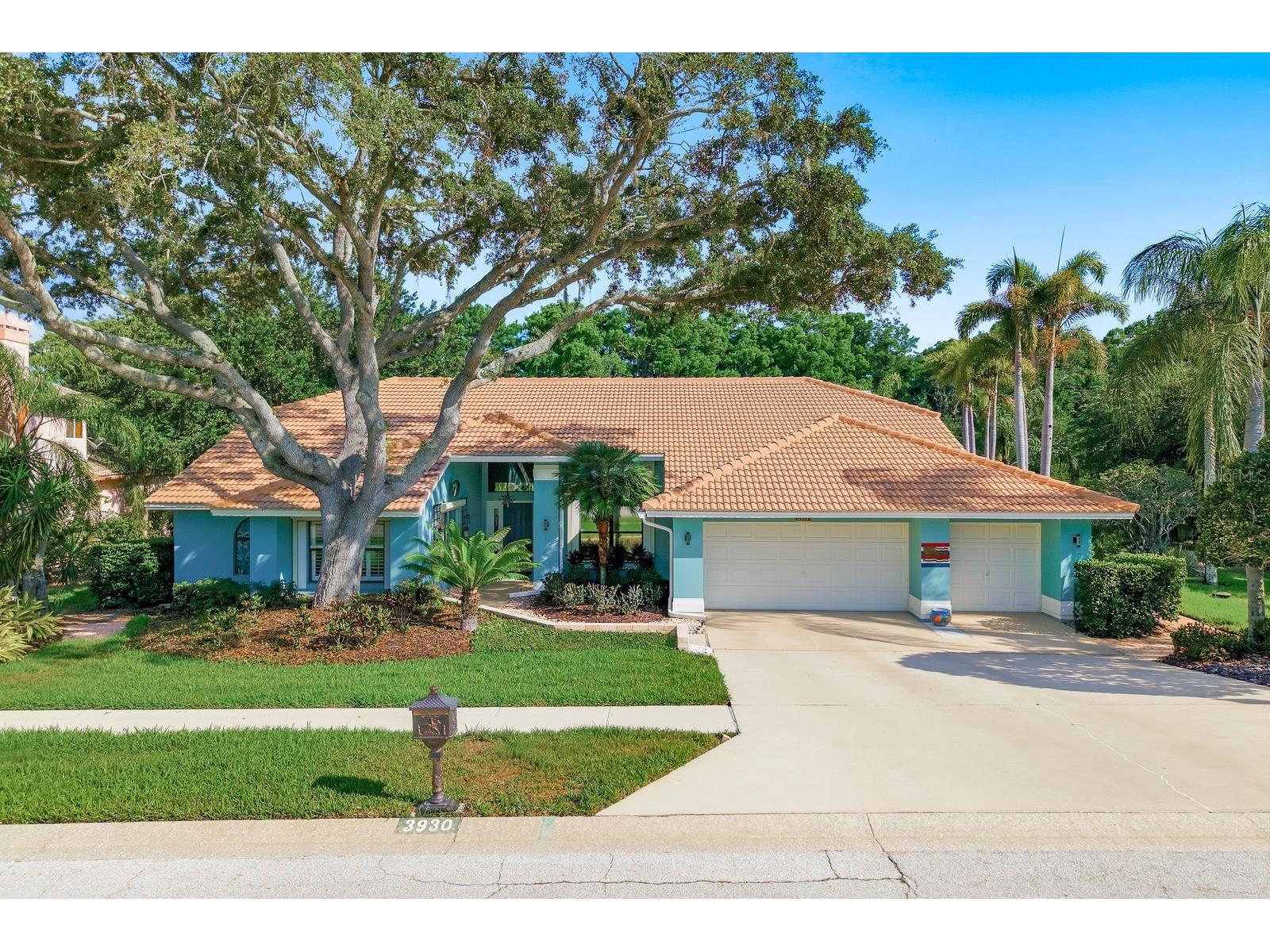 3930 Tarian Court Palm Harbor FL 34684 TB8505689 image1